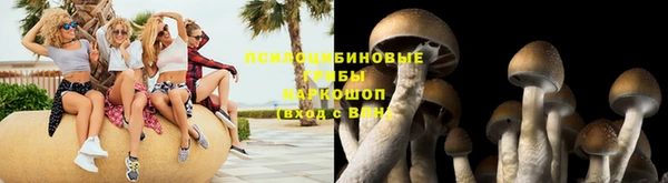 меф Белокуриха